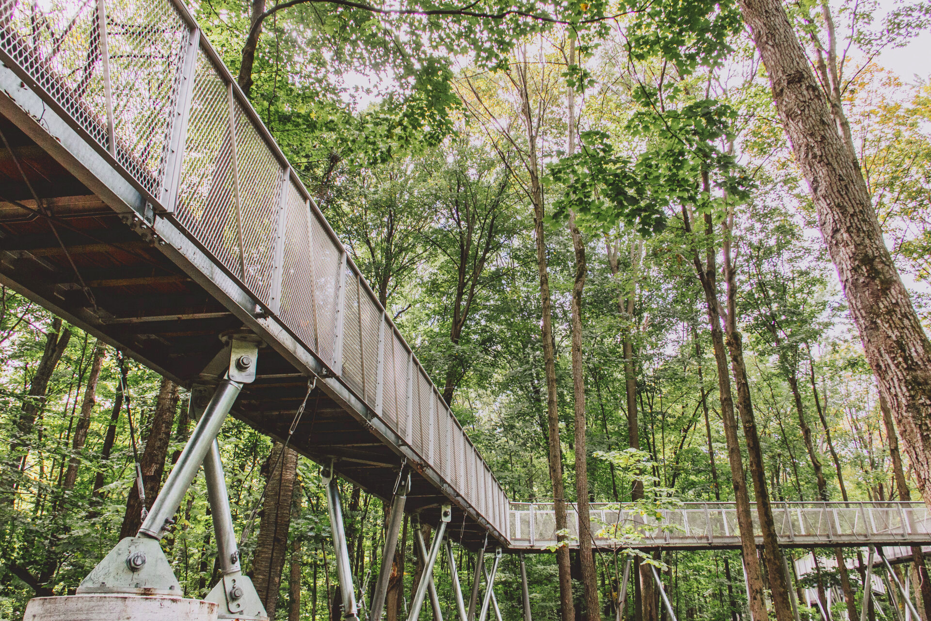 Bois De Liesse Nature Park